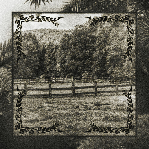 Late Night Jam Session