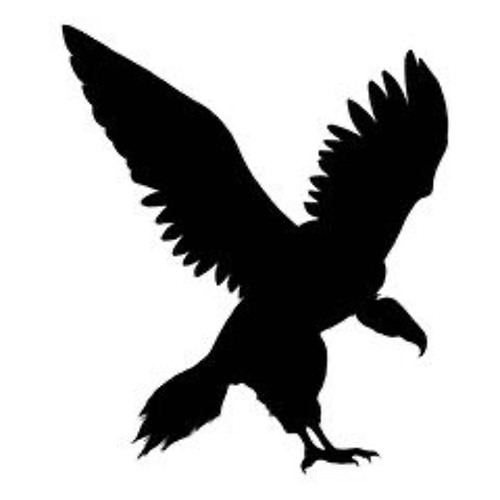 condor