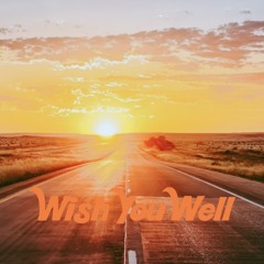 wish you well