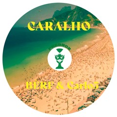 BÈRF, Carlo5 - Caralho (Original Mix)