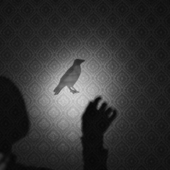 Raven