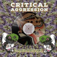 Critical Aggression-Gabbabuah