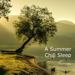 A Summer Chill Sleep