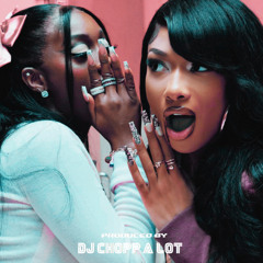 Roc Steady ft. Meg Thee Stallion x Flo Milli (Steady Rock NOLA Bounce Remix)
