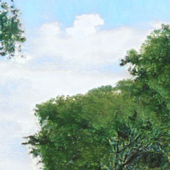 In the woods