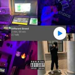 Different Breed [prod by.bem]