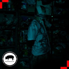 [Swine Guest Mix] EIDA - Bryophyta Mix