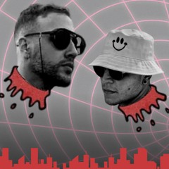 Set DEMO - Frass! B2B Beguer