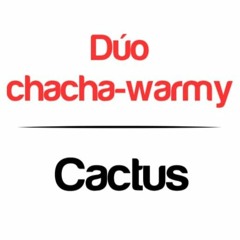 Duo chacha-warmy - Cactus