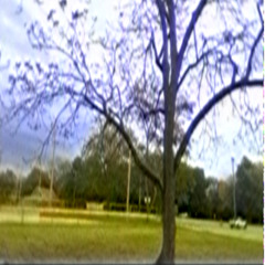 stung by a jellyfish