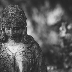 Lady Loss - For Metapop Cloud Supply Competition