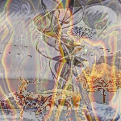 pear phone off 📴 prod m0lly