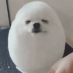 the mix of pure agony and disgust