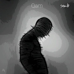 Qam freestyle