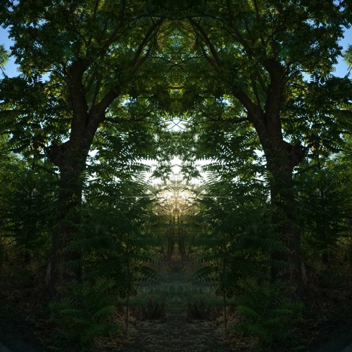 Panamorph - PSYBIENT AMBIENT PSYCHEDELIC TRANCE MINIMAL PROGRESSIVE CHILLOUT DUB ELECTRONICA
