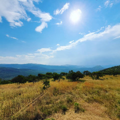 Sonskyn Sessions 004