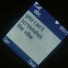 You Can Not Screenshot The Vibe