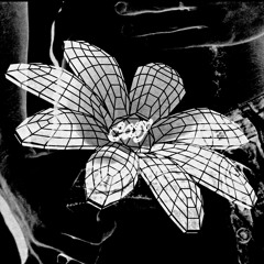 easy  troye sivan+kacey musgraves (ieuan remix)