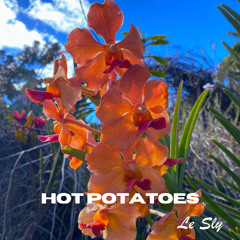 Hot Potatoes
