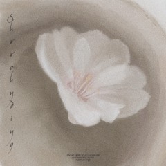 seems i cant get right