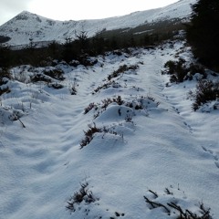 Luke Farrell - Our Planet