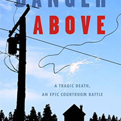 GET EPUB 💔 Danger Above: A Tragic Death, An Epic Courtroom Battle by  Robert Zausner
