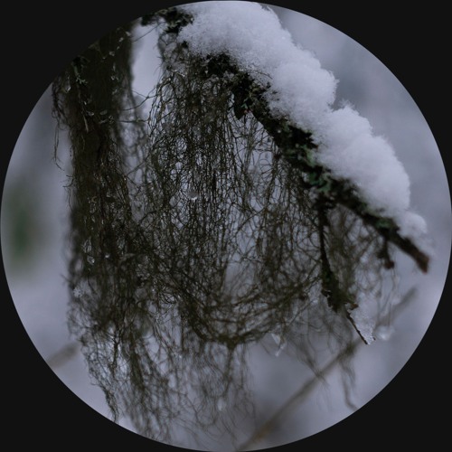 CODECAST X - ELYAN X - Good Riddance