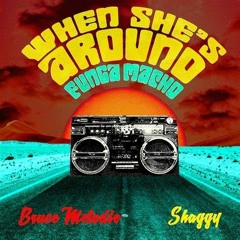 NRJ - BRUCE MELODIE & SHAGGY - WHEN SHE'S AROUND (FUNGA MACHO) (PN)