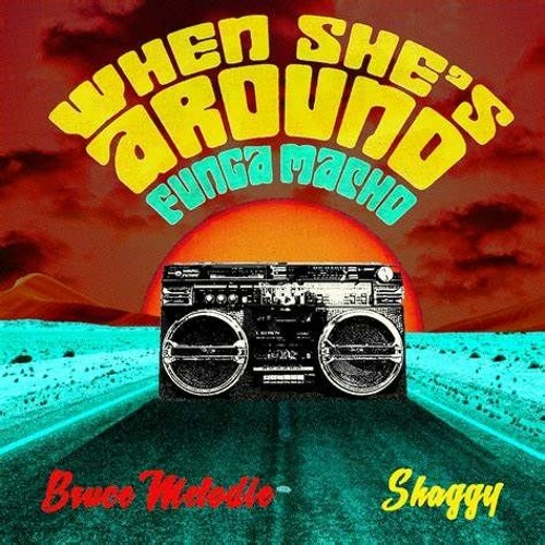 NRJ - BRUCE MELODIE & SHAGGY - WHEN SHE'S AROUND (FUNGA MACHO) (PN)