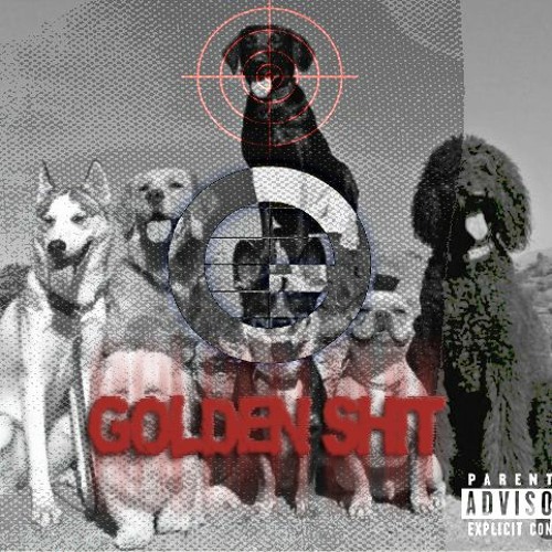 GOLDEN SHIT - Strxvik ( GBR DISSIN )