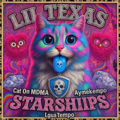LIL TEXAS - STARSHIPS (Aymeko x Cat On MDMA x Lguapiep Remix)