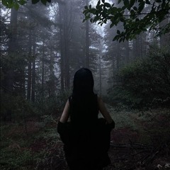 nightlife (strscream)