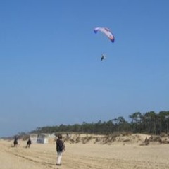 Chevaux au galop sur la plage