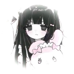 고양이 시체