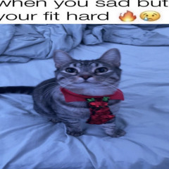 Songs im in (More songs soon)