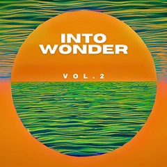 House and Techno | Into Wonder Vol. 2
