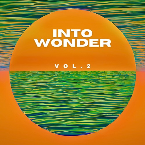 House and Techno | Into Wonder Vol. 2