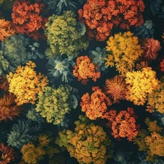 Timeout- Autumn Leaves Podcast
