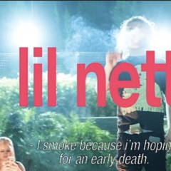 NEW Nettspend Birdbox / Die Lit snippet full updated (prod ok)