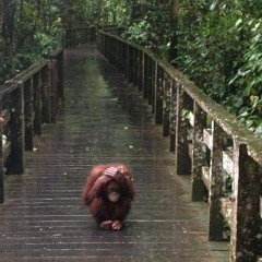 Have I Lost ? (Praying for ends pt.2)