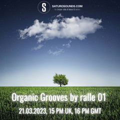 Organic Grooves by ralle 21.3.