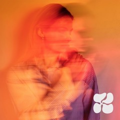 Sean Drinan – Never Gonna Give U Up [TNTX017]
