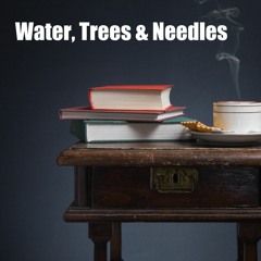Water, Trees & Needles (EP 8)
