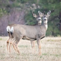 i live for certain people