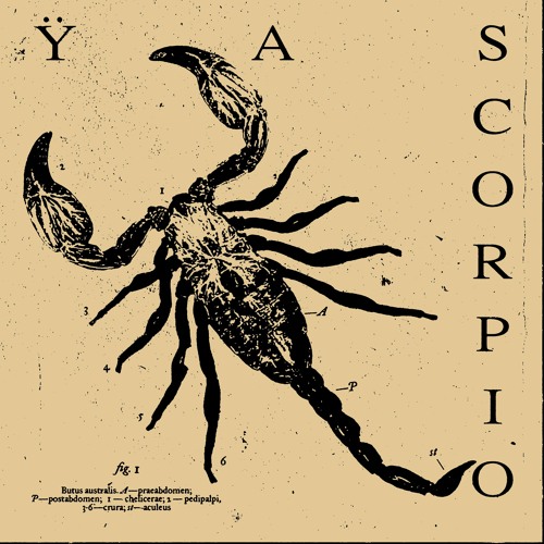 Scorpio