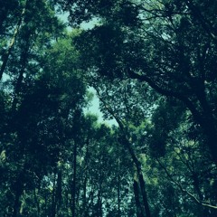 Log_20230413（demo）