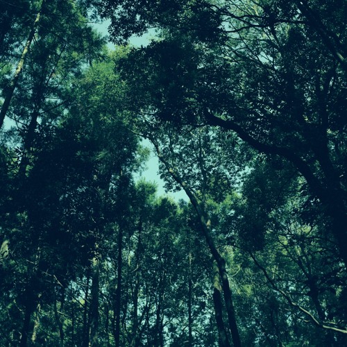 Log_20230413（demo）