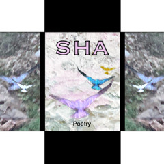 When the Crow Caws (Poetry) - SHA