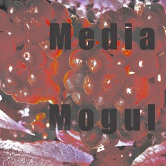 Media mogul