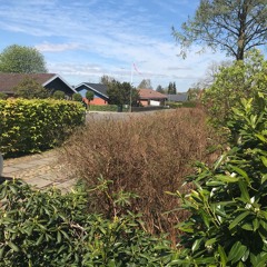 disquiet0436 Sirene May 6th 2020 At Noon